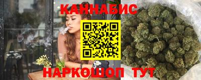 эйфоретик Кингисепп