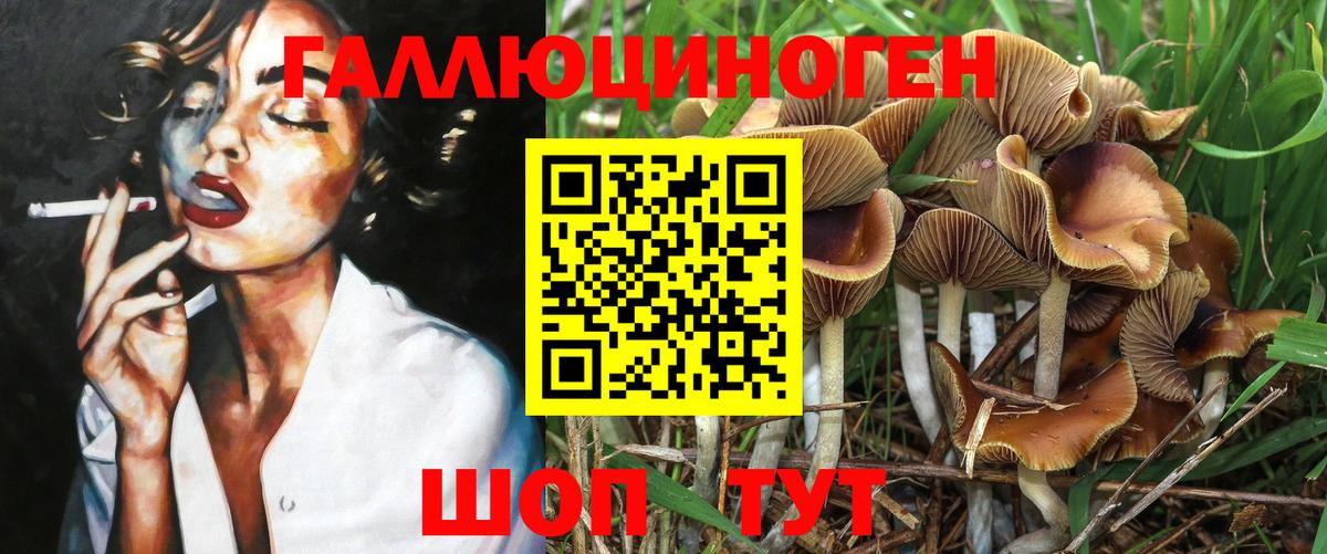 Галлюциногенные грибы ЛСД Коммунар