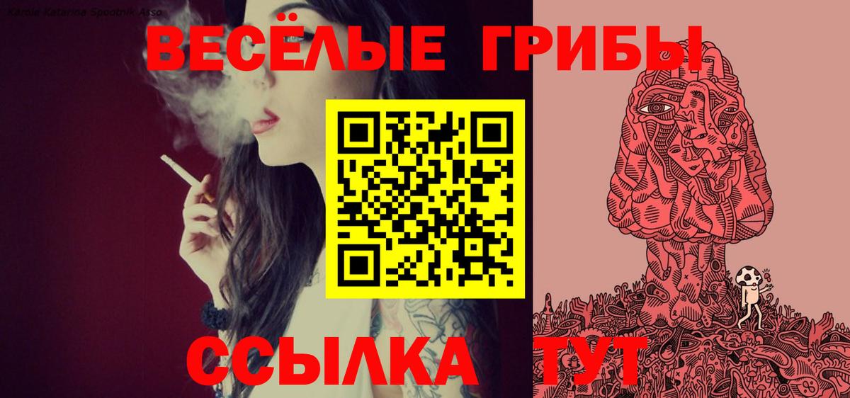 Коммунар  Галлюциногенные грибы мухоморы  Вход с VPN 