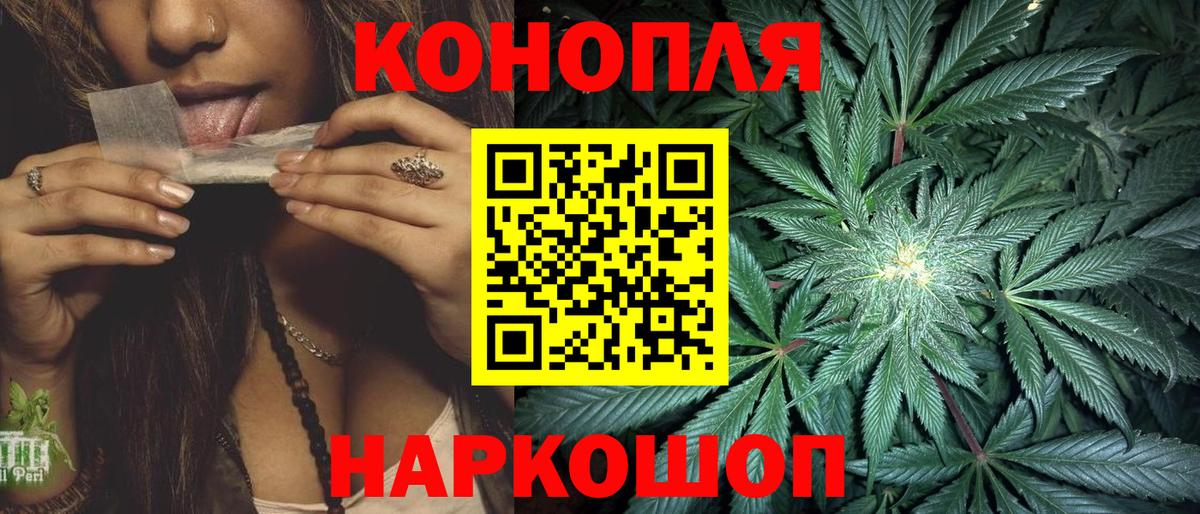 Конопля план  Вход с VPN  Каннабис сатива  Бошки Шишки VHQ  Коммунар 